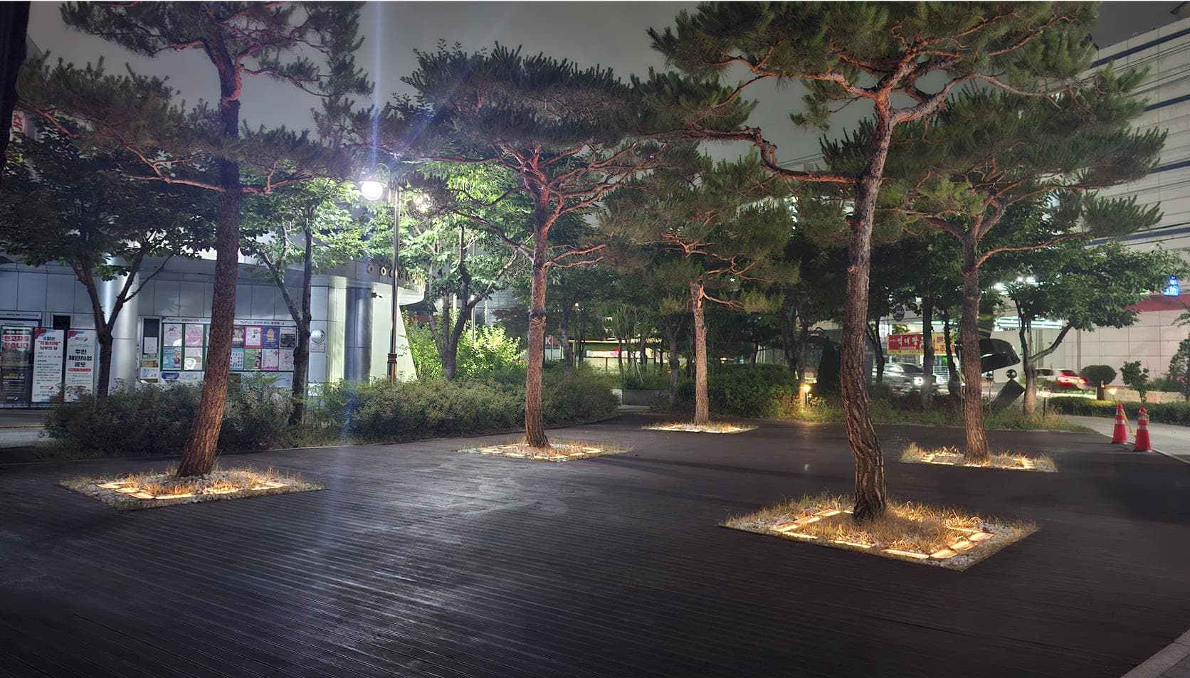야간, LED 지중등으로 조명된 어린 소나무 6주 식재 플라자(광장) 실사